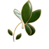 雅玉珠寶 JADE BUTTERFLY JEWELLERY CO